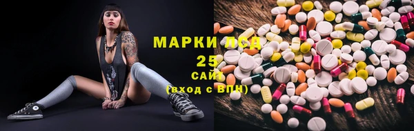 PSILOCYBIN Алзамай