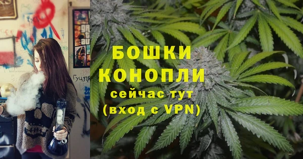 ПСИЛОЦИБИНОВЫЕ ГРИБЫ Абдулино