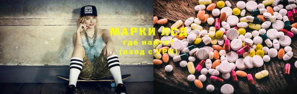 PSILOCYBIN Алзамай