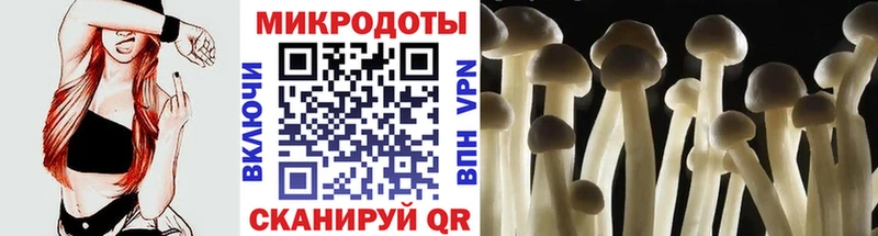 Псилоцибиновые грибы Magic Shrooms закладка Черкесск